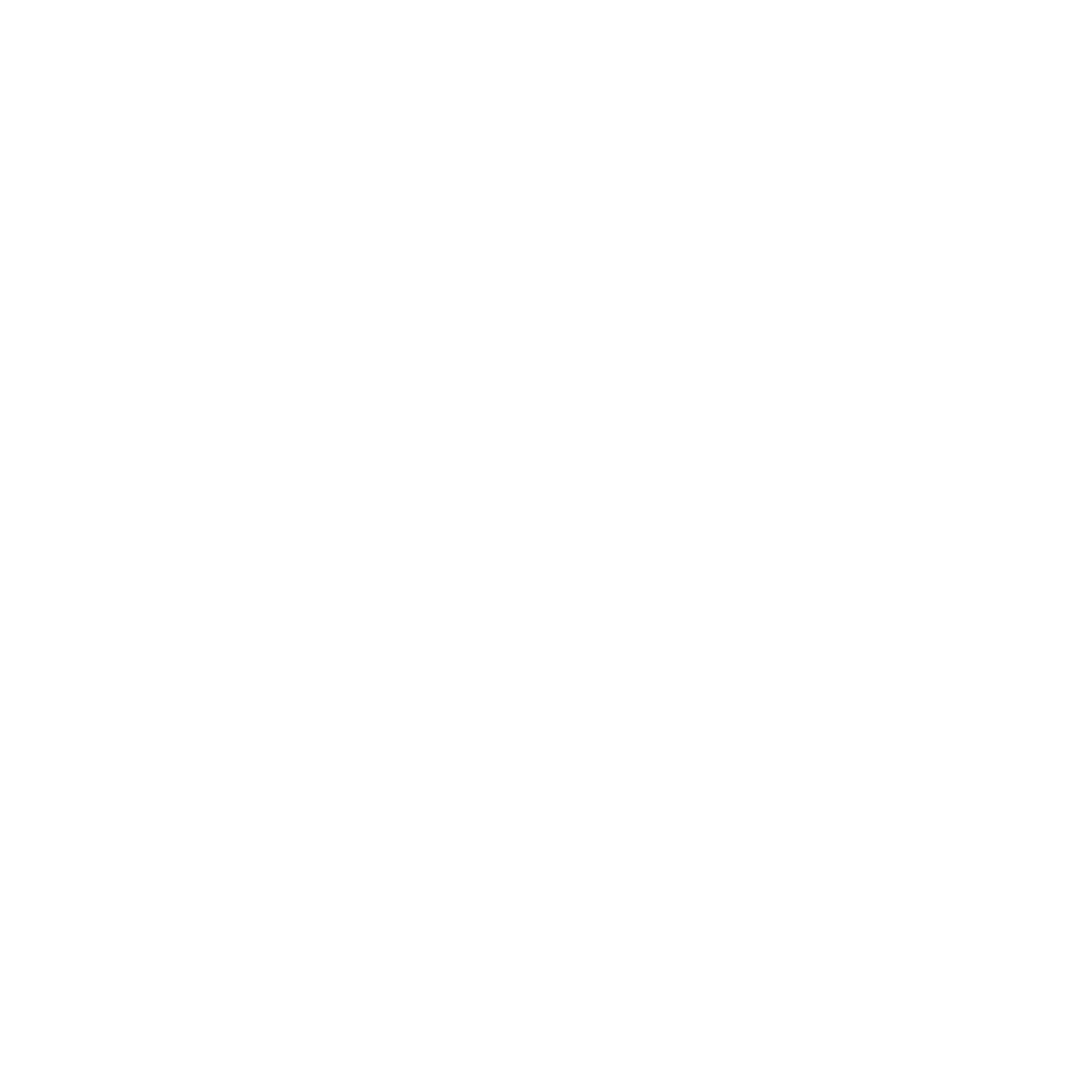 Momo the cat